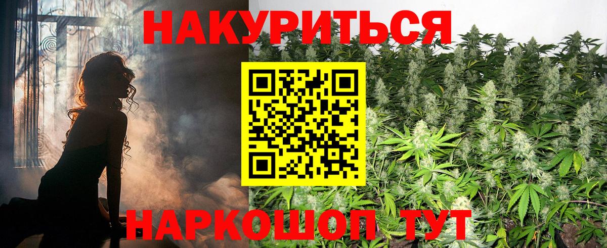 МАРИХУАНА ГИДРОПОН Нефтекумск